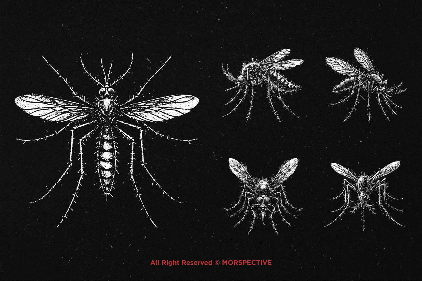 10 Bundle Dark Art Mosquito 3 10 Bundle Dark Art Mosquito - Image 3