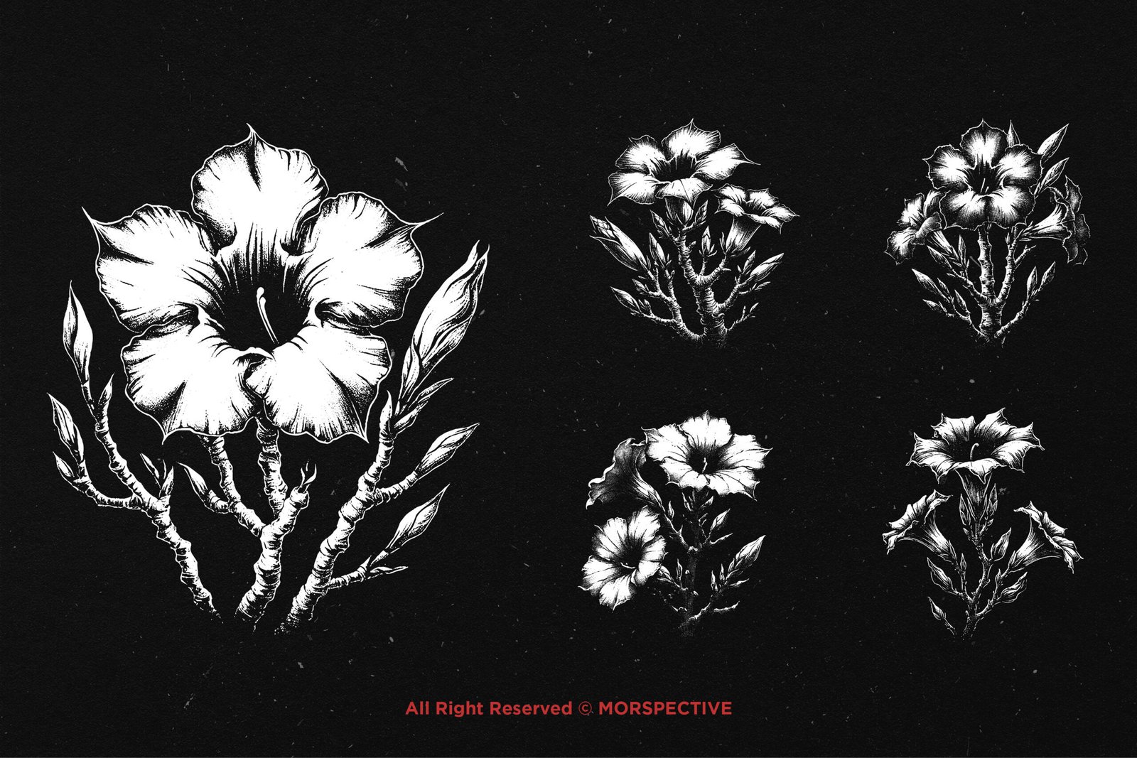 10 Bundle Dark Art Adenium Flower 3 10 Bundle Dark Art Adenium Flower - Image 3