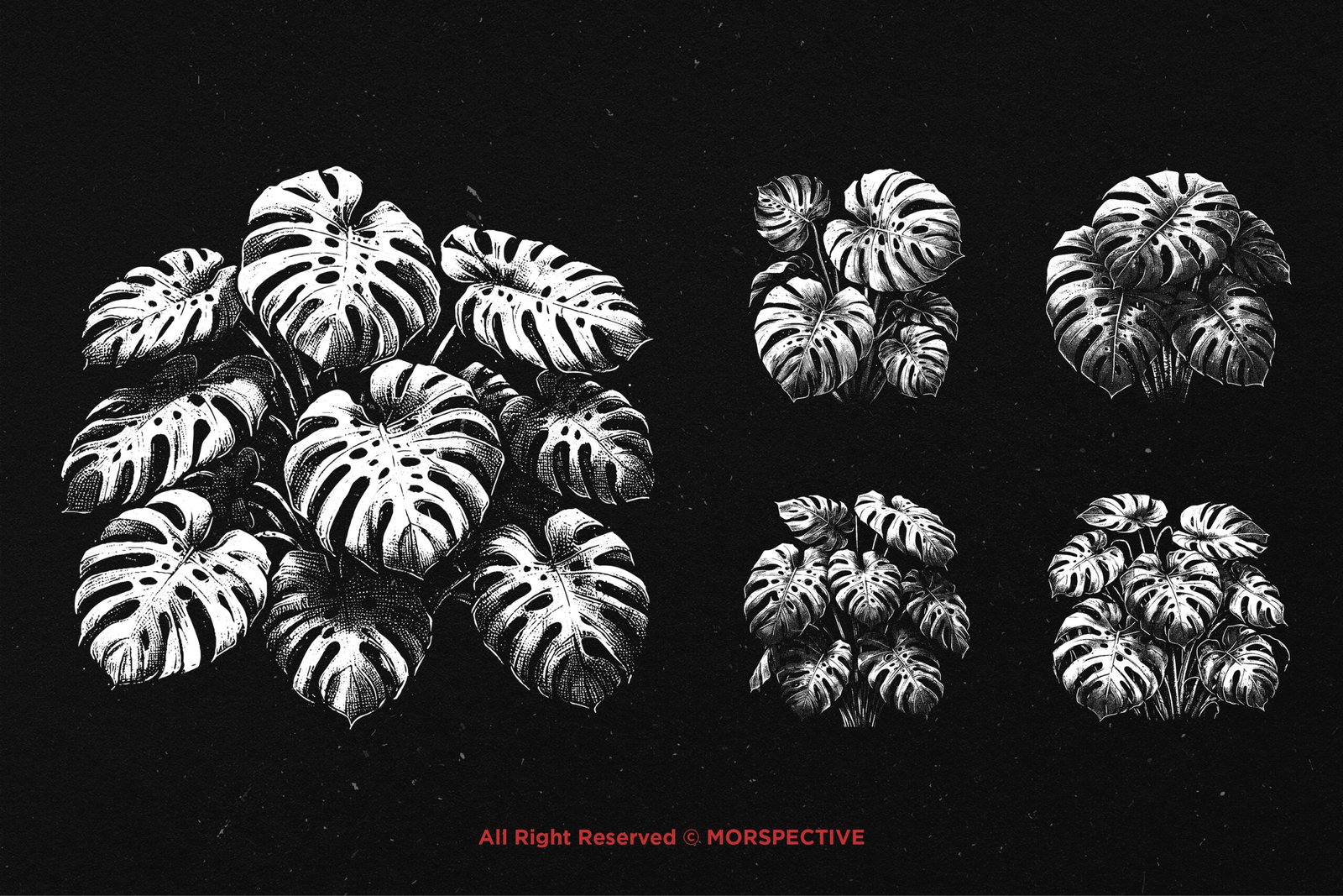 10 Bundle Dark Art Monstera 3 10 Bundle Dark Art Monstera - Image 3