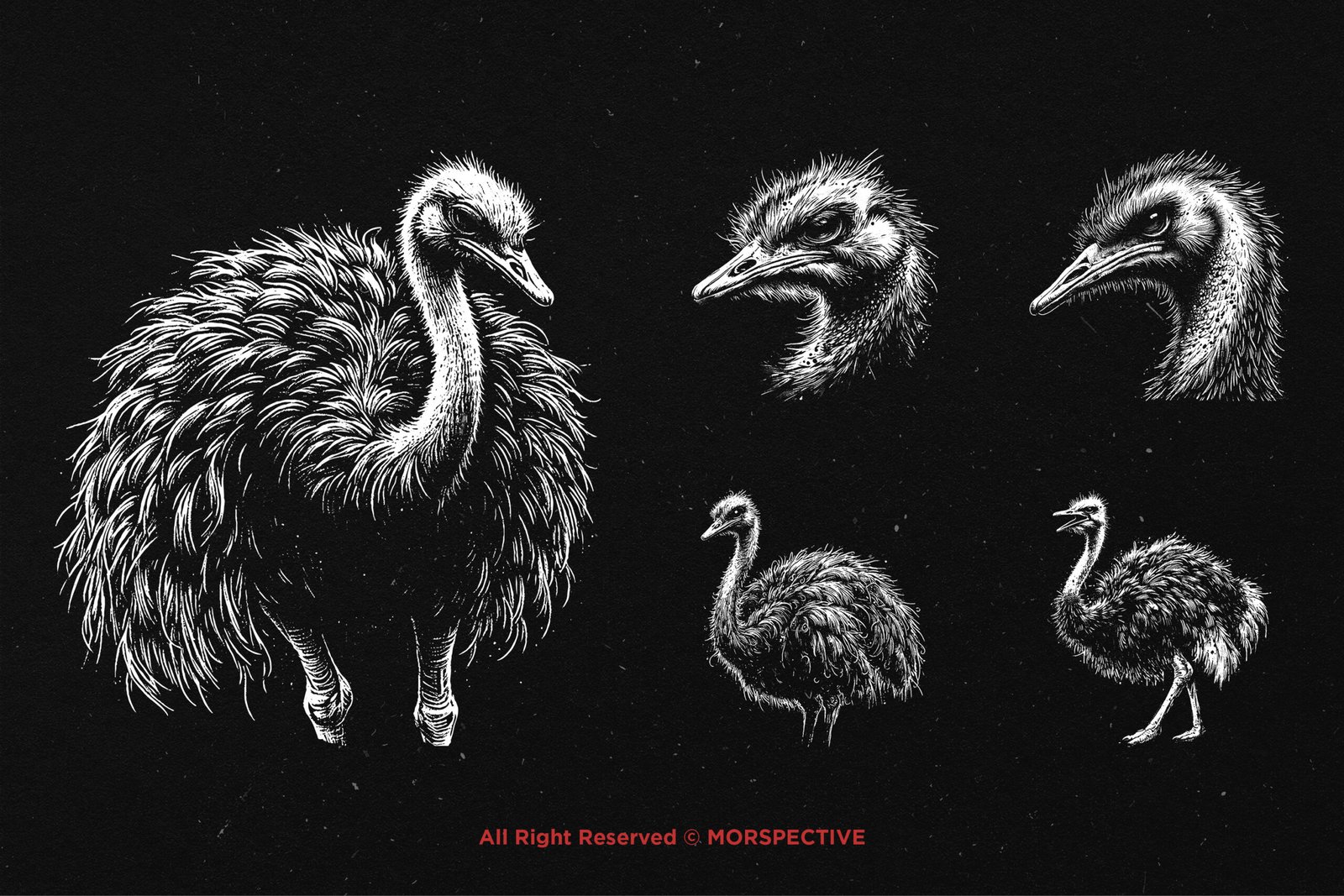 10 Bundle Dark Art Ostrich 3 10 Bundle Dark Art Ostrich - Image 3