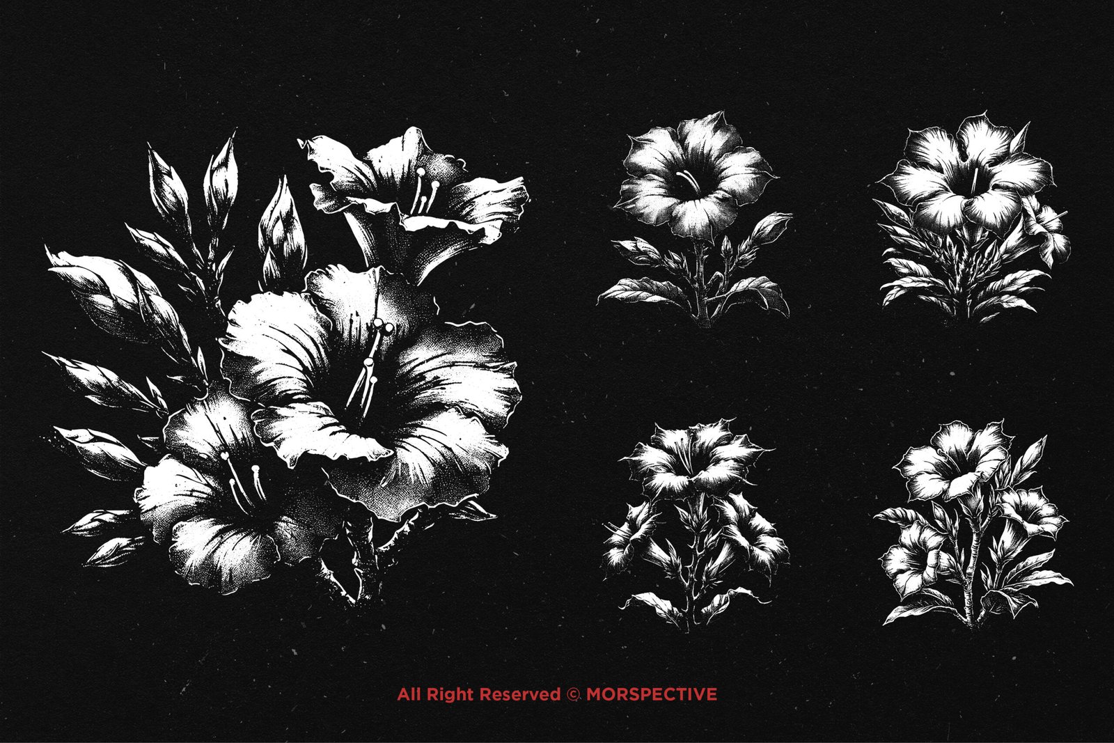 10 Bundle Dark Art Adenium Flower 4 10 Bundle Dark Art Adenium Flower - Image 4