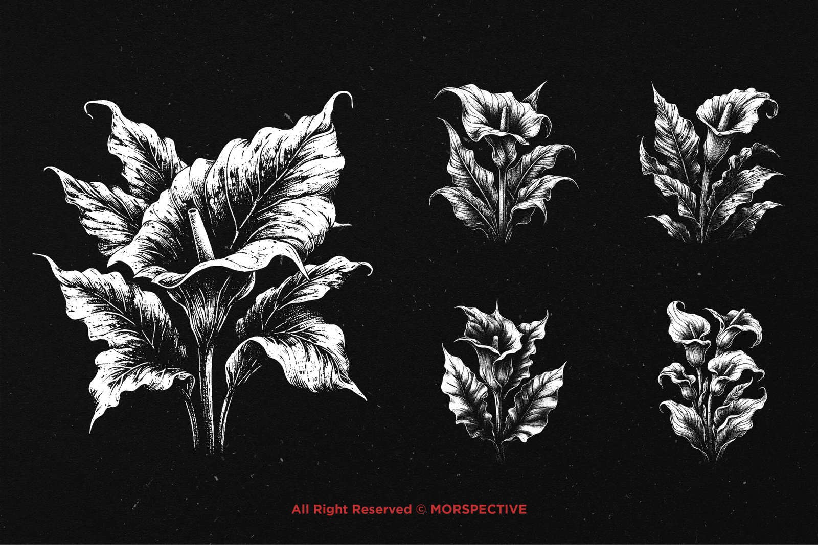 10 Bundle Dark Art Aglonema Flower 4 10 Bundle Dark Art Aglonema Flower - Image 4