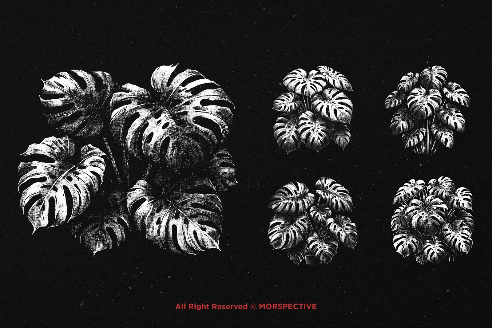 10 Bundle Dark Art Monstera 4 10 Bundle Dark Art Monstera - Image 4