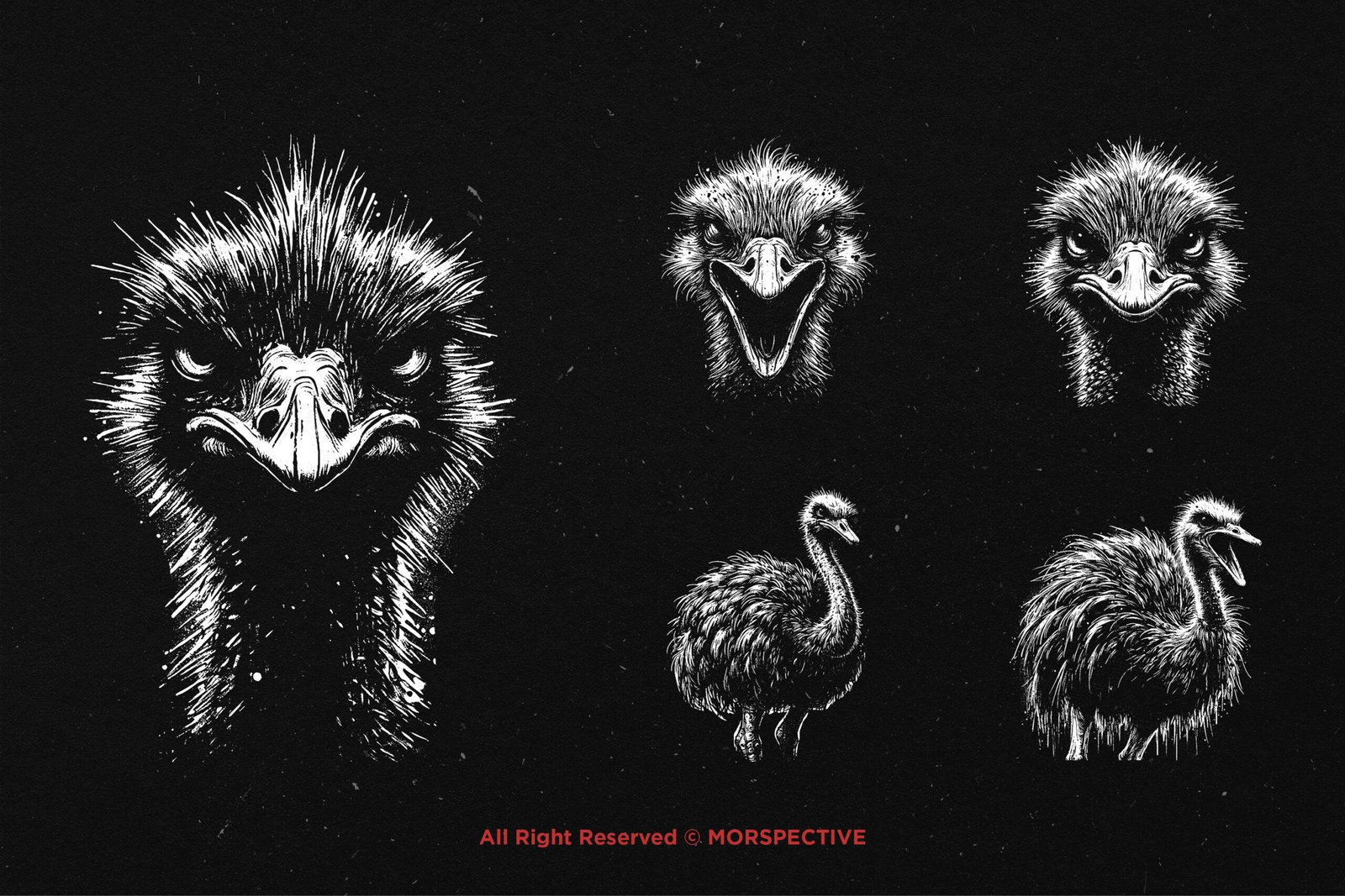 10 Bundle Dark Art Ostrich 4 10 Bundle Dark Art Ostrich - Image 4