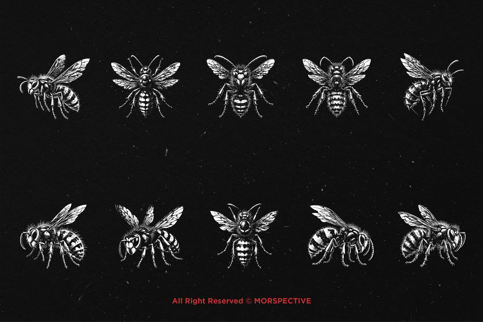 10 Bundle Dark Art Wasp 5 10 Bundle Dark Art Wasp - Image 5