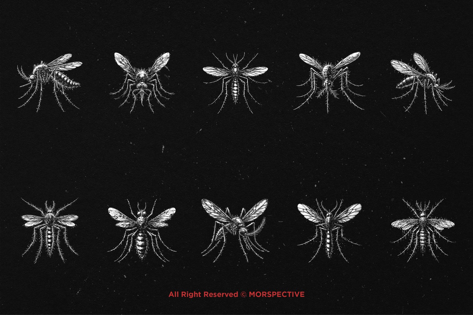 10 Bundle Dark Art Mosquito 5 10 Bundle Dark Art Mosquito - Image 5