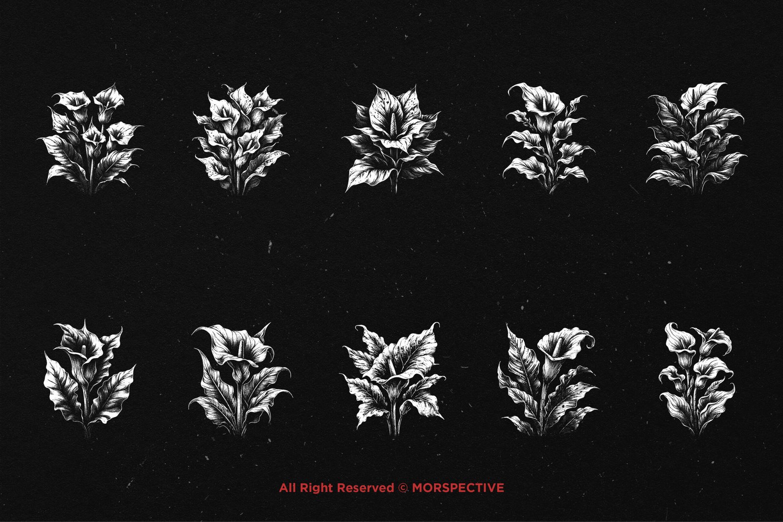 10 Bundle Dark Art Aglonema Flower 5 10 Bundle Dark Art Aglonema Flower - Image 5