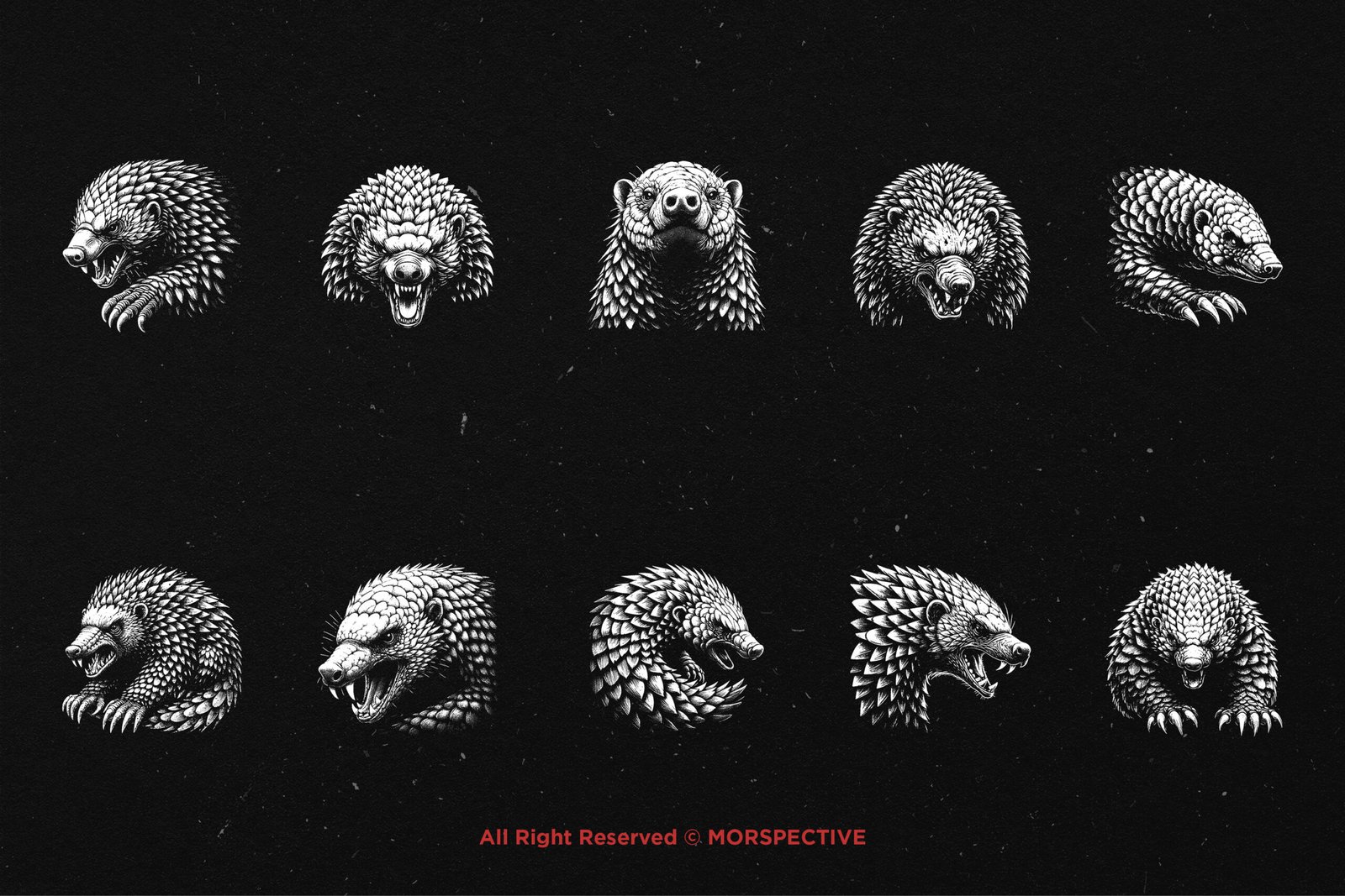 10 Bundle Dark Art Pangolin Armadillo 5 10 Bundle Dark Art Pangolin Armadillo - Image 5