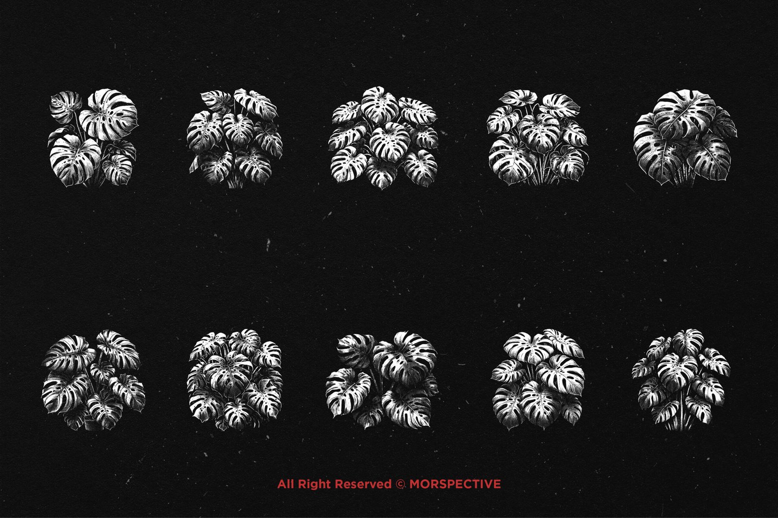 10 Bundle Dark Art Monstera 5 10 Bundle Dark Art Monstera - Image 5